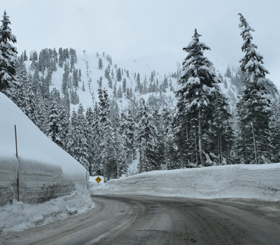 Mt Baker snow