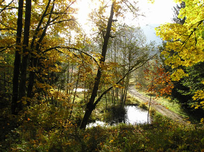 Retreat Summer Pond