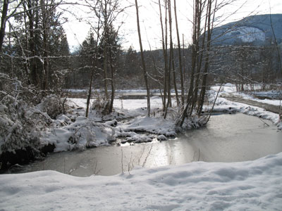 Winter pond